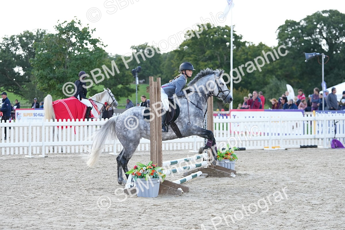 SBM_18184 - J58 - Clear Round 50cm