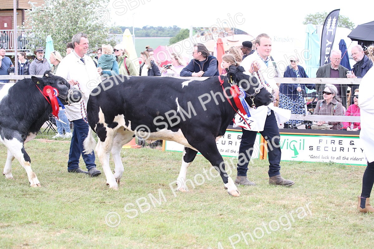 SBM_07822 - Grand Parade