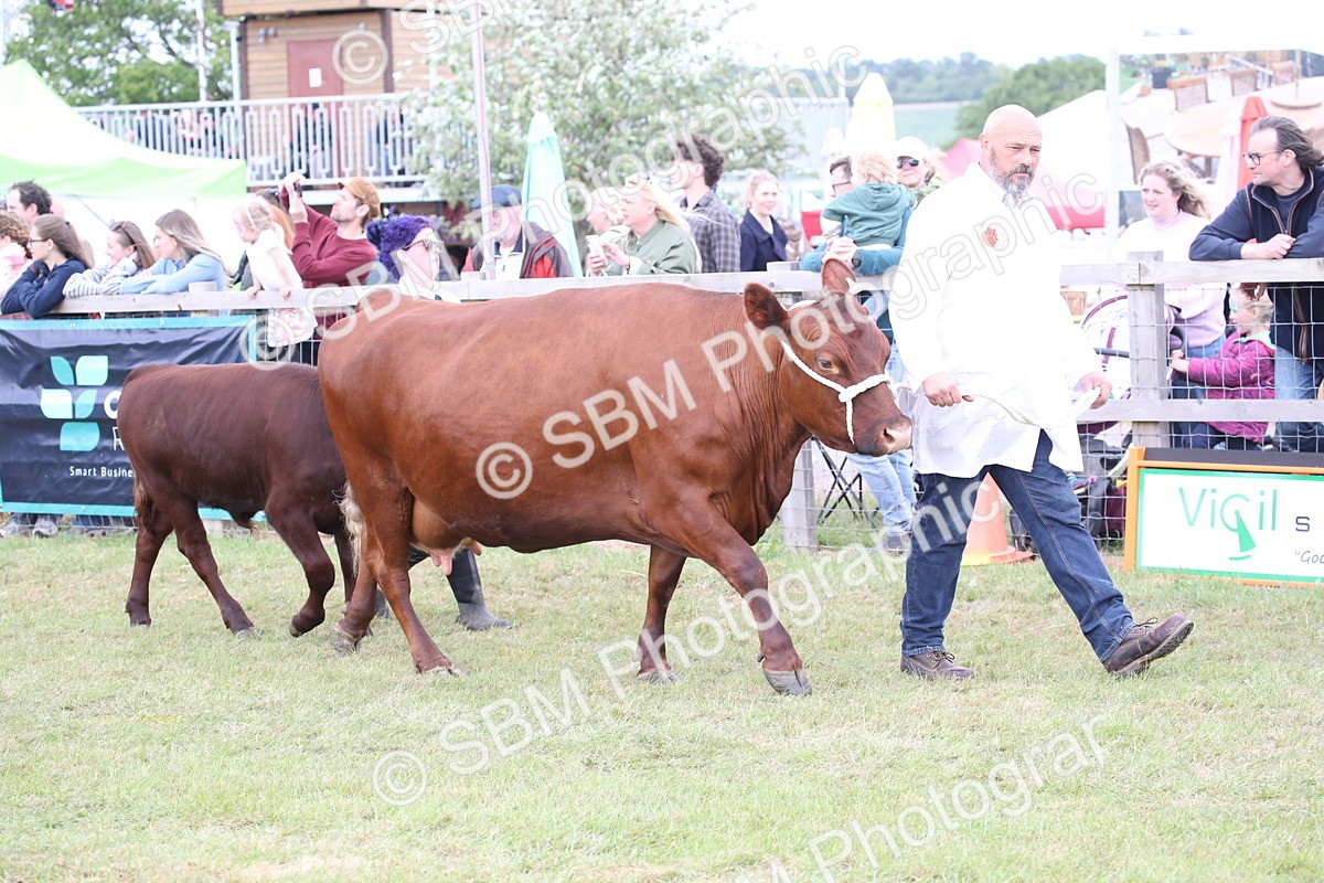SBM_07832 - Grand Parade