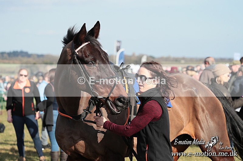 PtP 010325 374 - Beaufort Races Didmarton 01/03/25