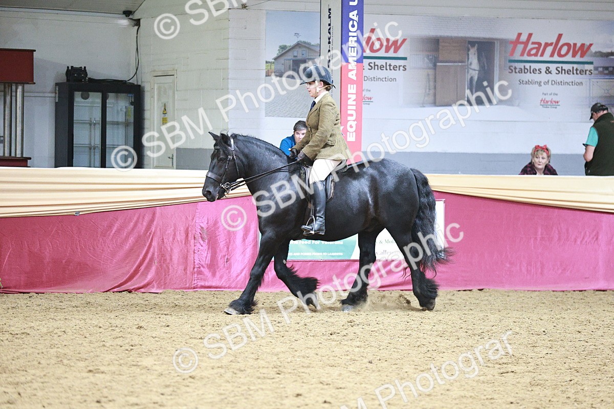 SBM_09040 - Class 12R - Regional Ridden Pre-Vet