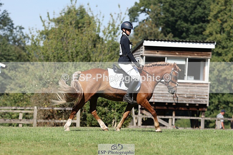 250823A-103622-27743 - Arena D