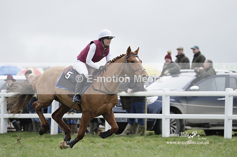 PtP 260323 0278 - New Forest Hounds Point-to-Point Larkhill 26/03/23