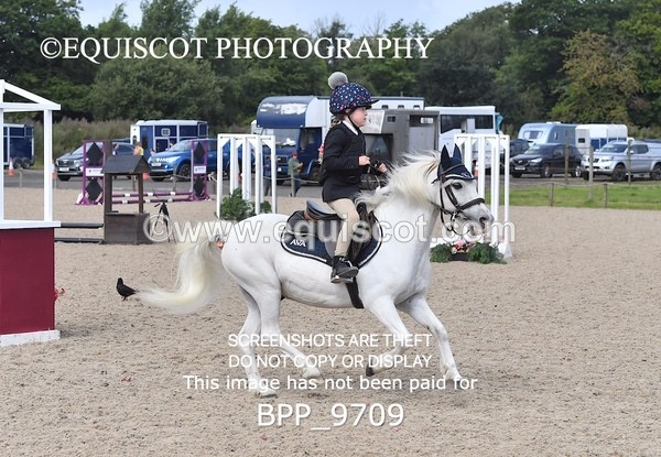 BPP_9709 - CLASS 2 Derby Show Jumping 30CM