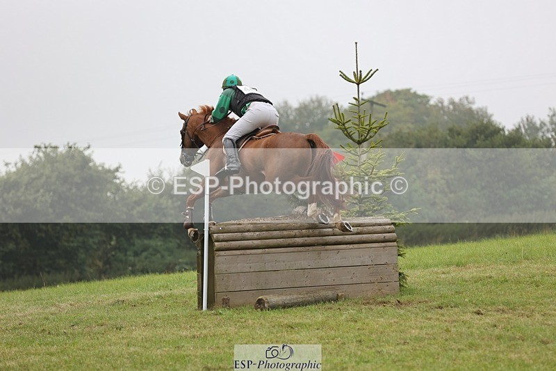 240901A-121213-07353 - 460-Harry.Rowcliffe-22.CARROT.GOLD