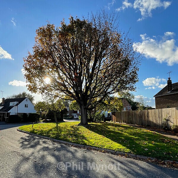 PhotoMynottART106 - Photo Mynott ART Images