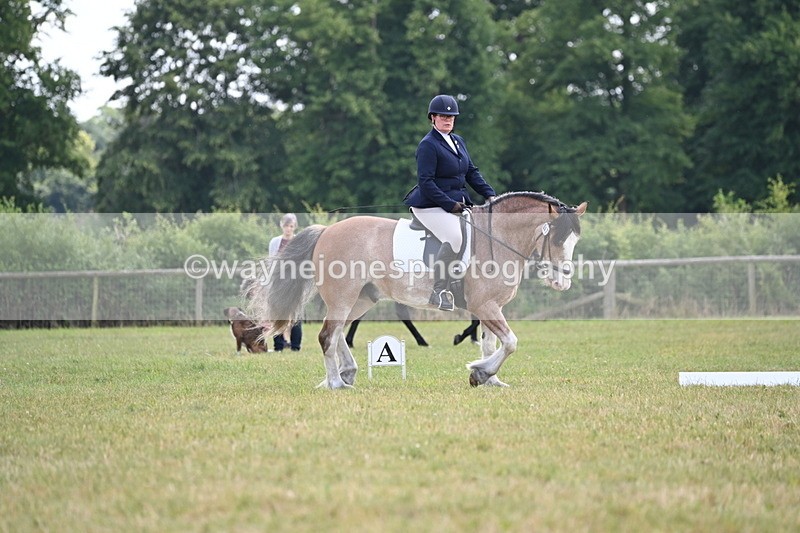 WJ6_7365 - Time 12:25 to 12:56