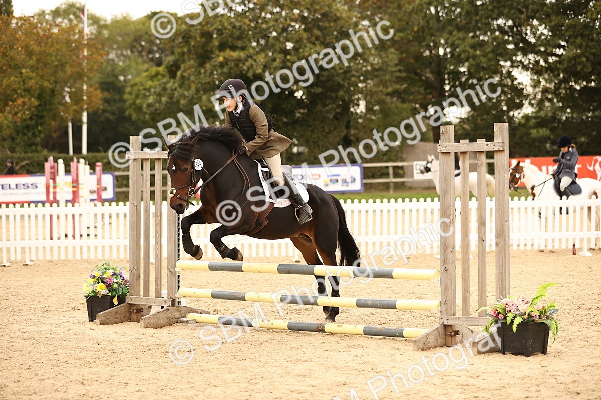 SBM_74205 - J14 - Junior Pony 65cm Championship