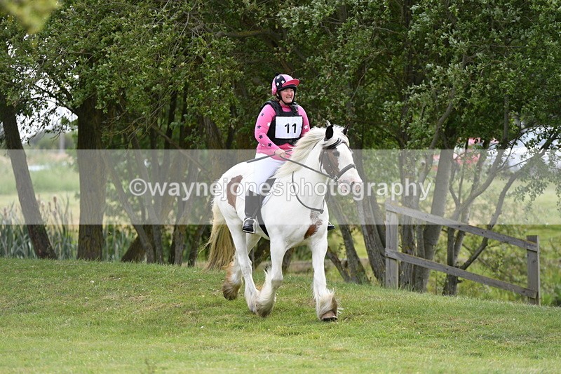 WJ5_2560 - Class 2 40cm