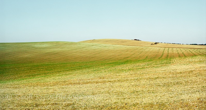 Lower Cadley's Farm - A Rural Landscape