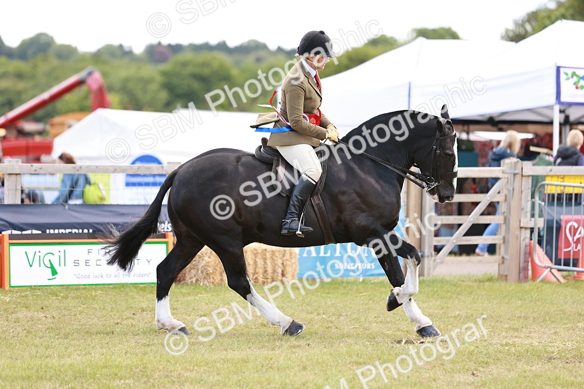 SBM_14120 - Class 85-87 - RIHS Cobs