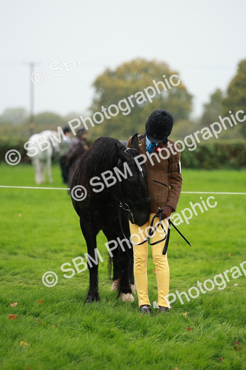 SBM_34900 - S10 - Best In Hand Horse & Pony