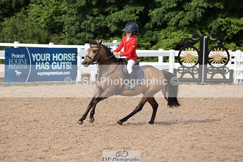 240629A-084708-02713 - Cls 16 British Novice and 80cm Open