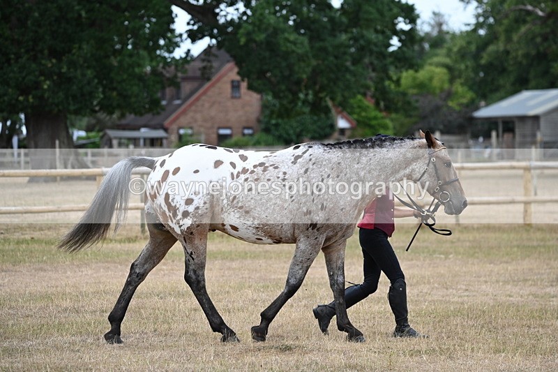 WJ6_7815 - Class 10 Coloured in Hand