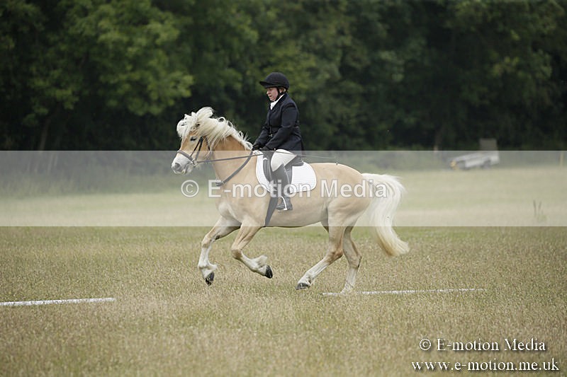 B230619-0608 - Bourne Valley Riding Club Summer Show 23/06/19
