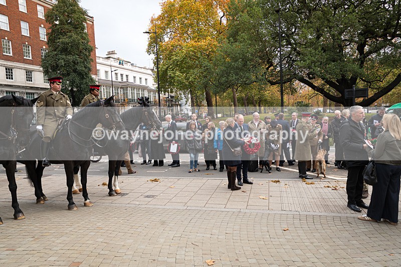 Z62_4549 - Animals In War Memorial 2025 - Park Lane, London