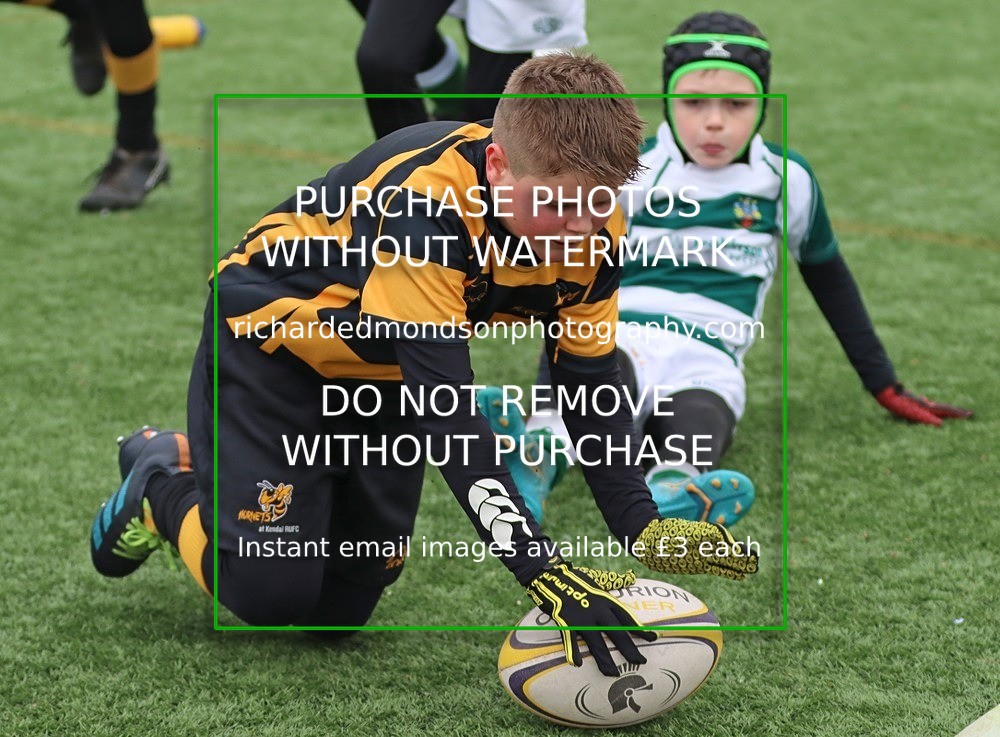 IMG_8773 - Kendal Rugby Under 11 Hornets vs Penrith (22/1/23)