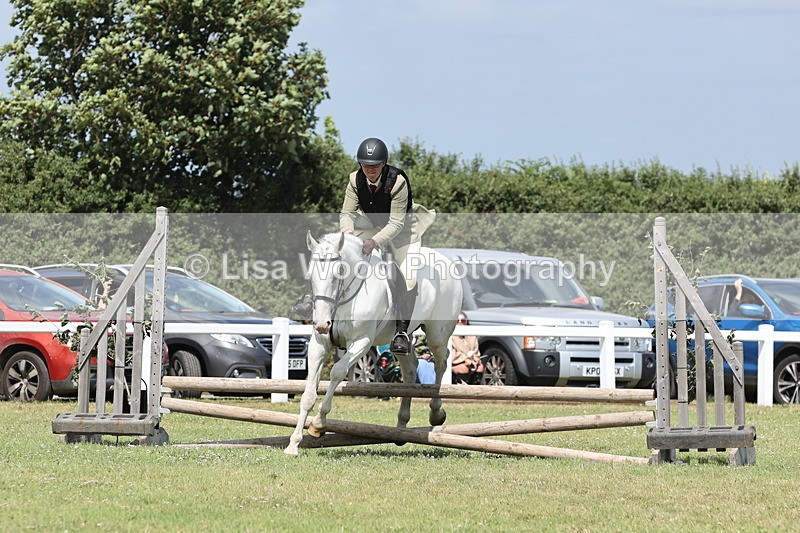 JPP_2077 - Class 19: Working Hunter 60cm