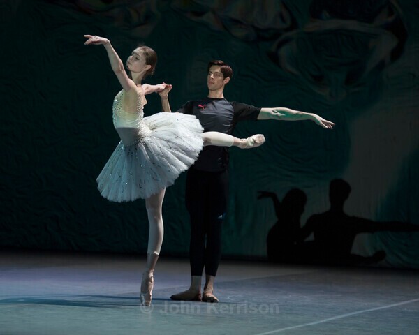  - Aliona Kovaleva and Xander Parish - Diamonds
