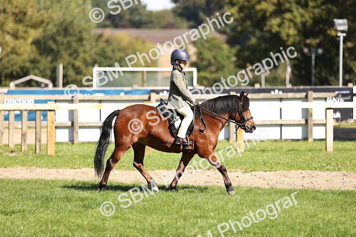 SBM_19339 - S3 - TSR Ridden Pony Showing