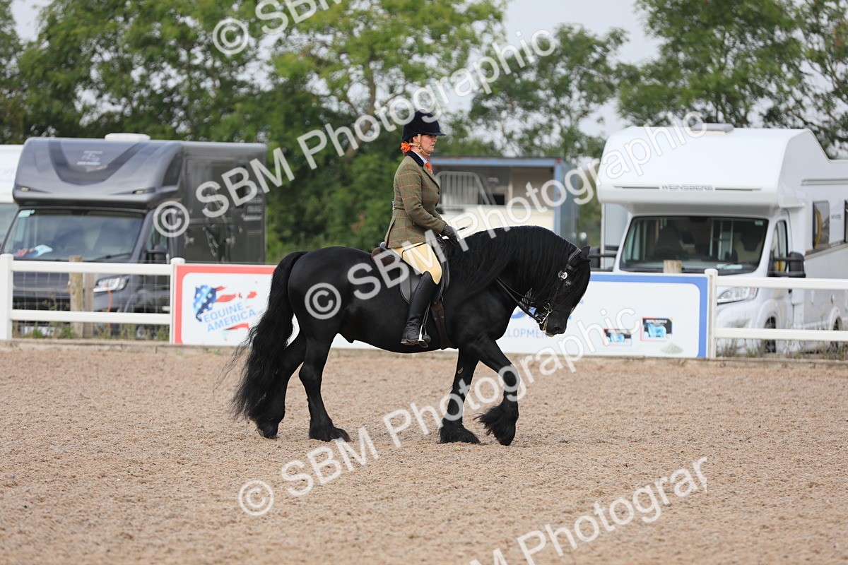 SBM_09974 - Class 302 Ridden M&M -Large Breeds