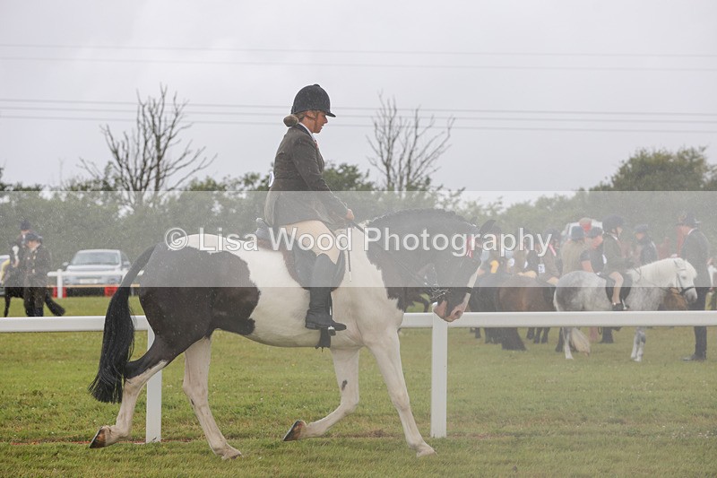 1X9A2995 - Class 26: Ridden Plaited Coloured Pony