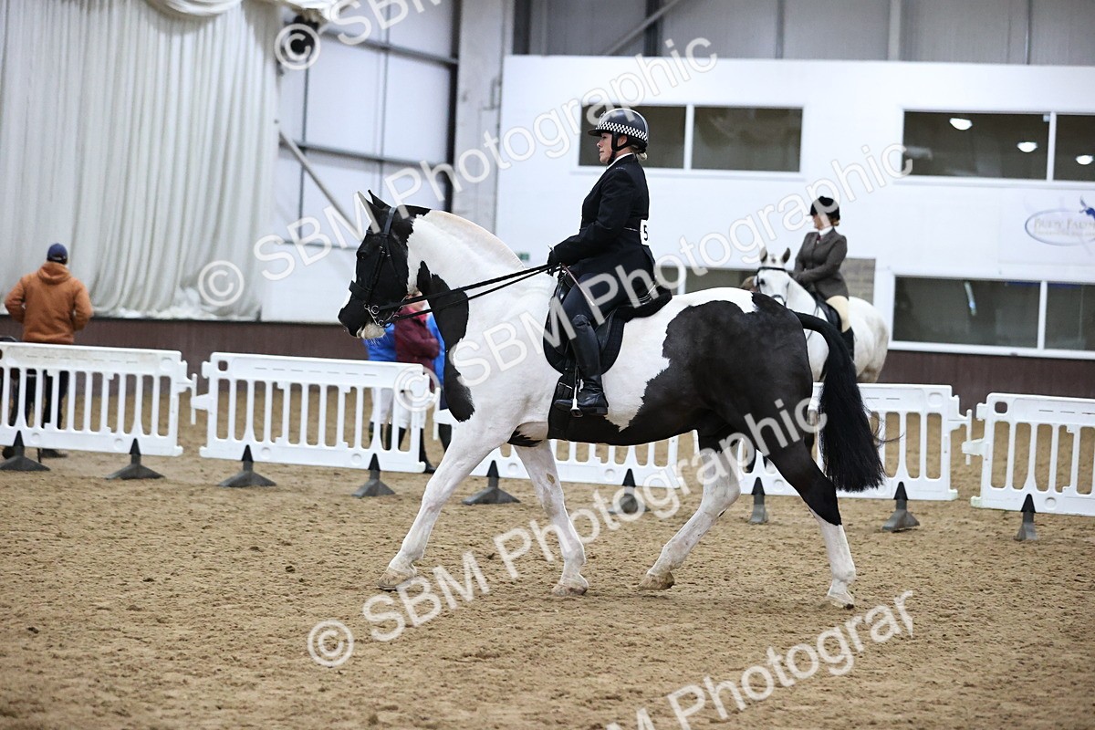 SBM_6351 - Class 45-42 - Ridden Irish Breeds-Ridden Cob