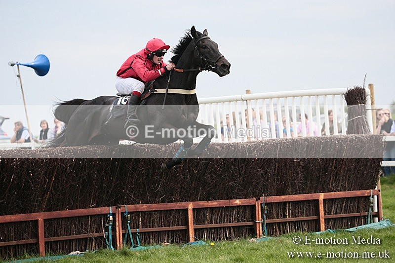 PtP 210418 218 - South & West Wilts Point-to-Point Larkhill 21/04/18