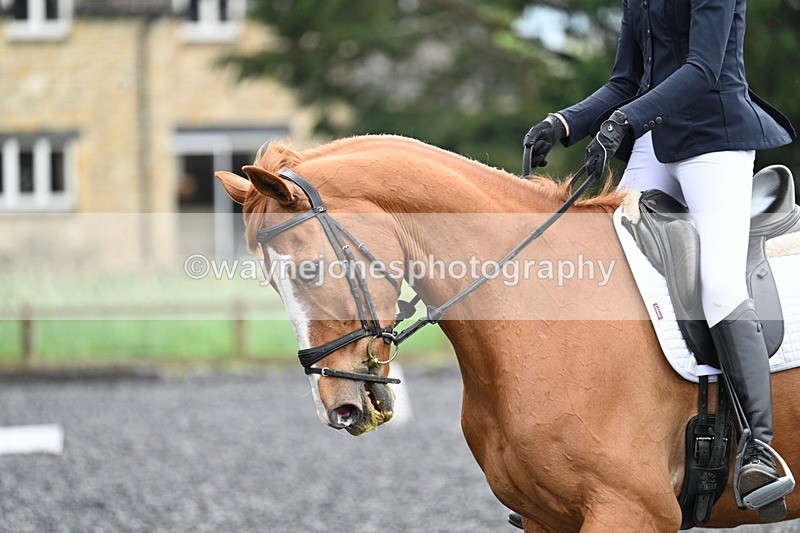 WJ7_1555 - Time 14:58 to 15:03