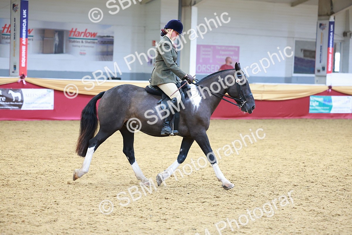 SBM_06156 - Class 12R - Ridden Pre-Vet