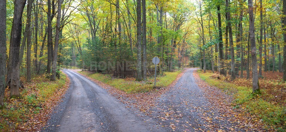 DSC_6578 - Roads
