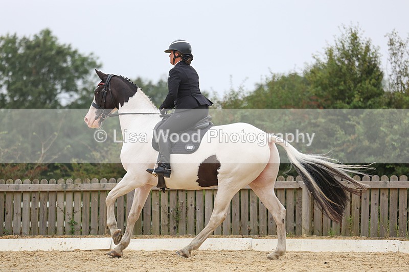 3E7A7069 - Class 7: Novice 4 2024 Section B