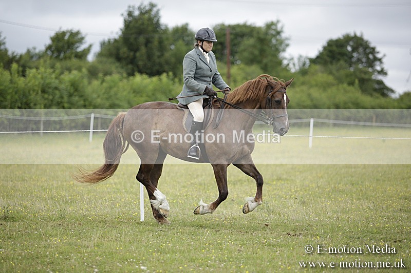 BVR160717-1294 - Ring 1 BVRC Show 16/07/17