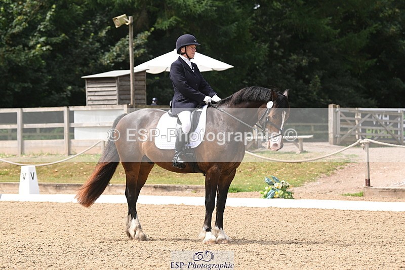 250720A-115635-10075 - 079-Amanda.Williams-Llanarth.Westminster