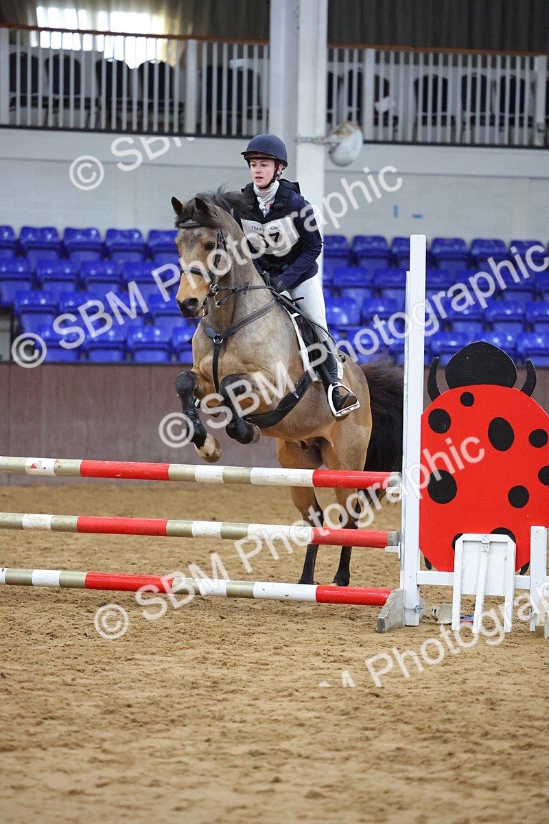SBM_001933 - Class 5 - Show Jumping 80cm