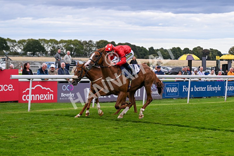 160926-Race 4-Woodvale-0670 - Race 4 3.48pm EBF Restricted Maiden Stakes