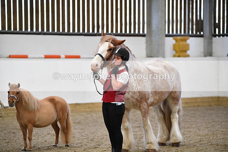 WJ5_5091 - Class 7 In hand coloured / odd coloured