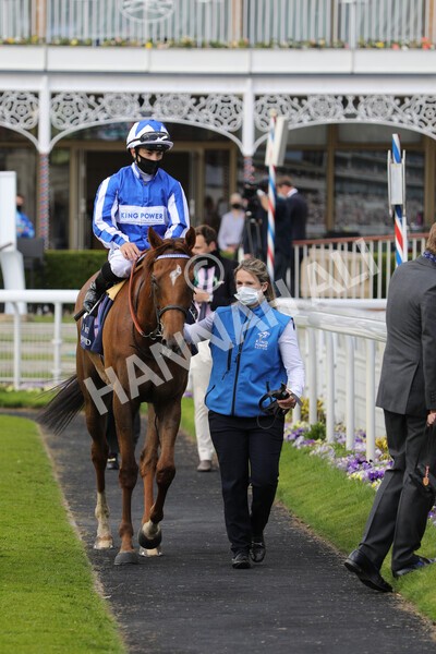 yr13052021r2-19 - Race 2 2.10pm Al Basti Equiworld Dubai Middleton Fillies' Stakes