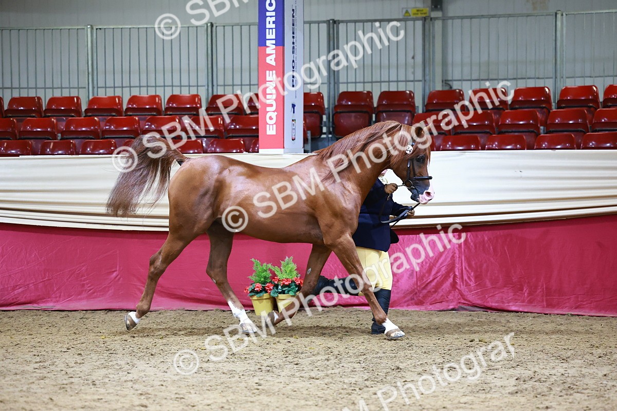 SBM_23881 - Grand Supreme Final - Overall Champ