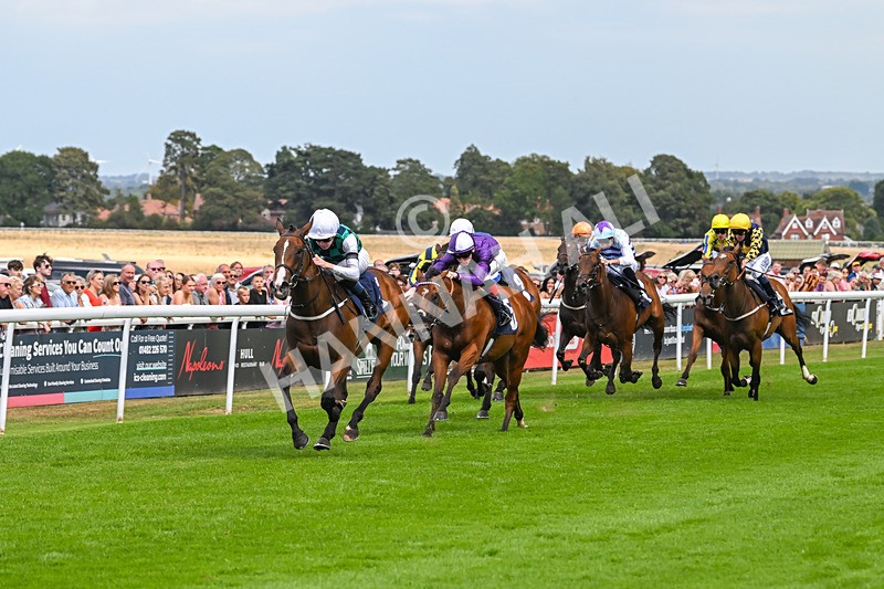 140825-Race 1-Catching The Moon-0279 - Race 1