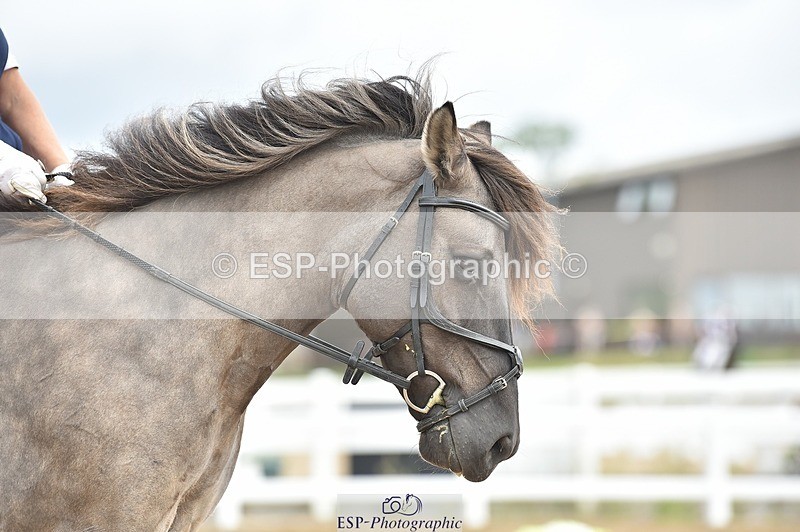 250622-111458-14276 - Quest Cls 25-30 Prelim Tests