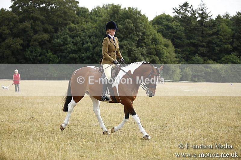 _C7A9501 - BVRC Show 2018 Ring 1