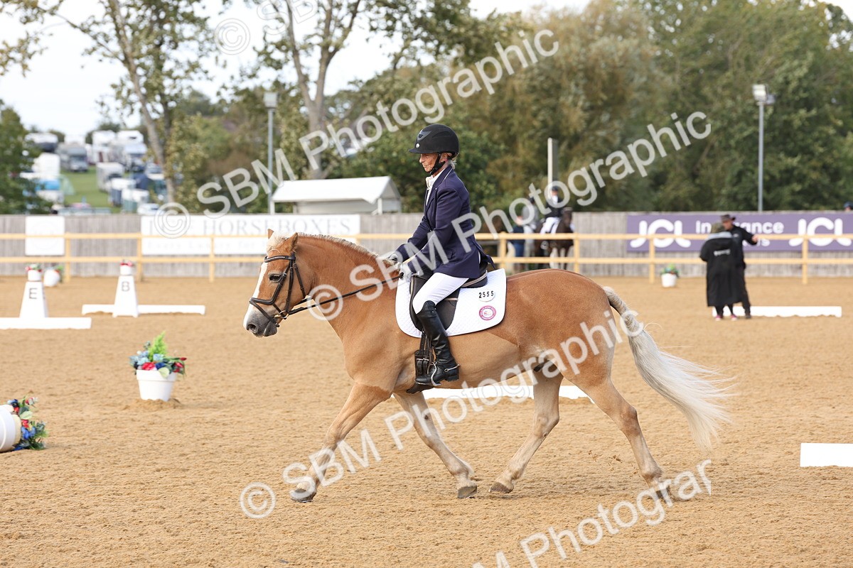 SBM_24611 - D17 - Grand Tour Championship Novice 3