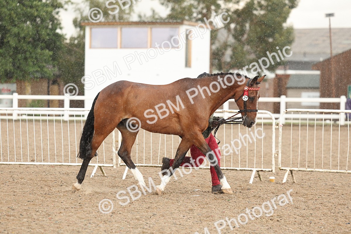 SBM_07746 - Class 27 - IH Competition Horse/Pony