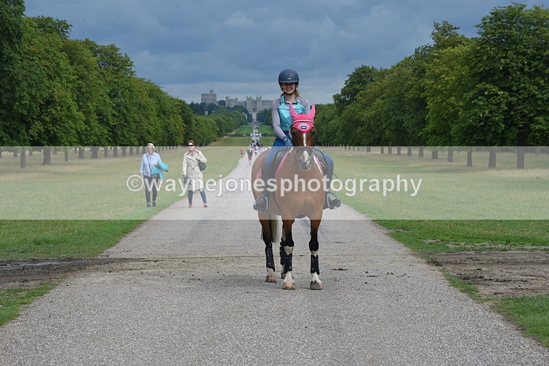 TT3_9250 - Time at Crossing 09:22 to 11:26