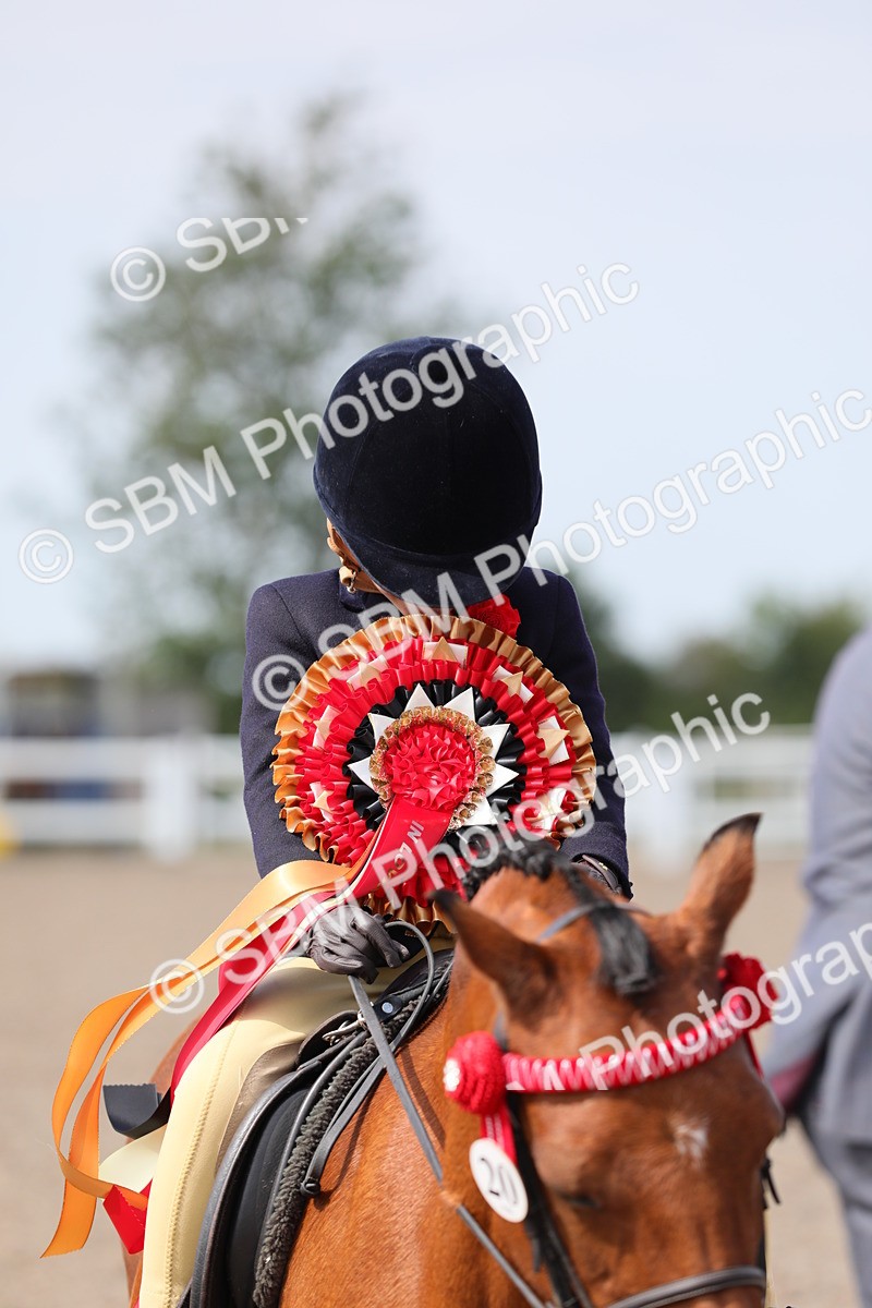 SBM_14083 - Class 309 Lead Rein Pony