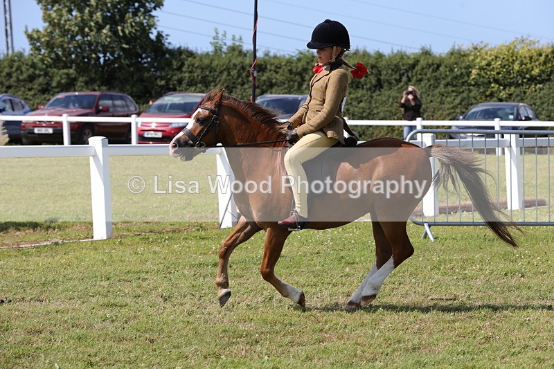 1X9A5424 - Class 37: NPS M&M First Ridden