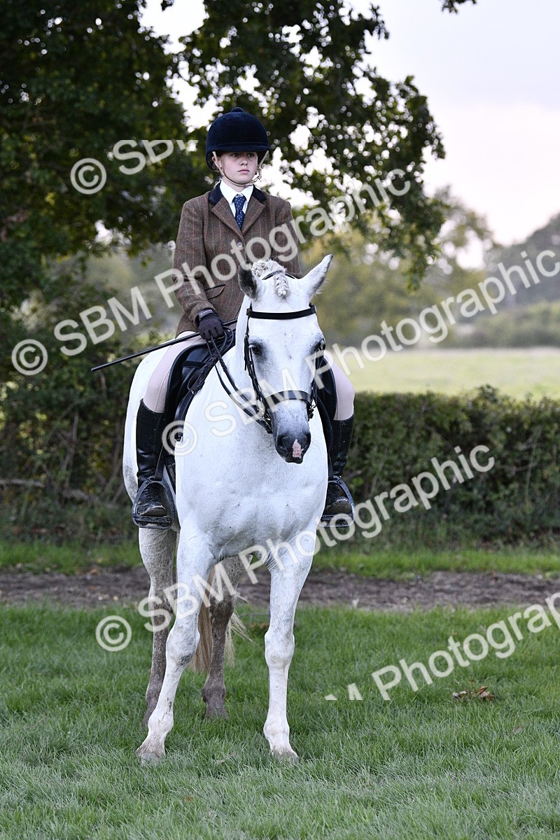 SBM_53596 - S14 - Riding Club Horse