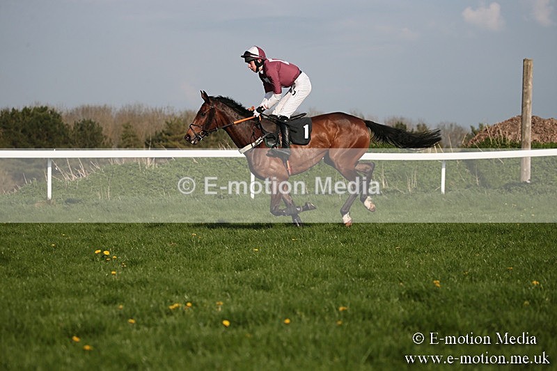 PtP 210418 574 - South & West Wilts Point-to-Point Larkhill 21/04/18
