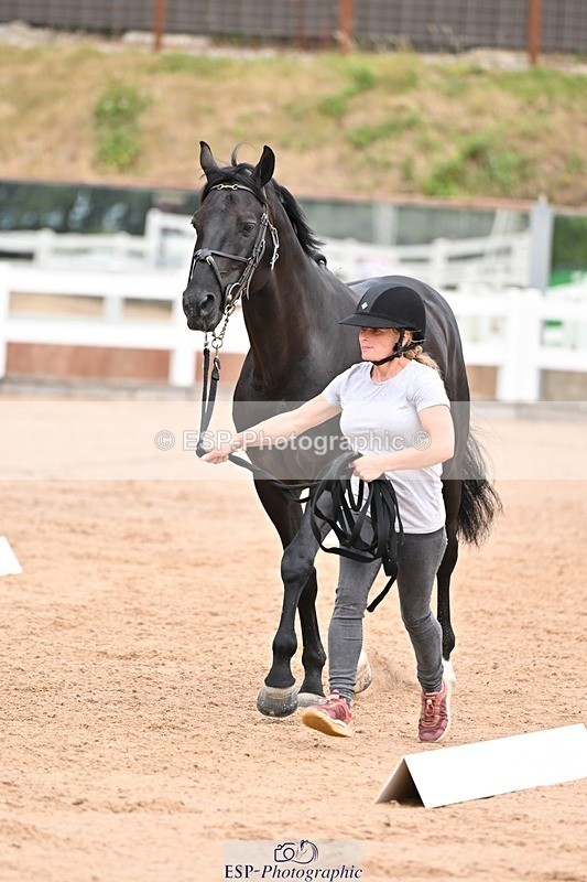 250716-143820-01251 - Trot Up 2.30 to 3.30